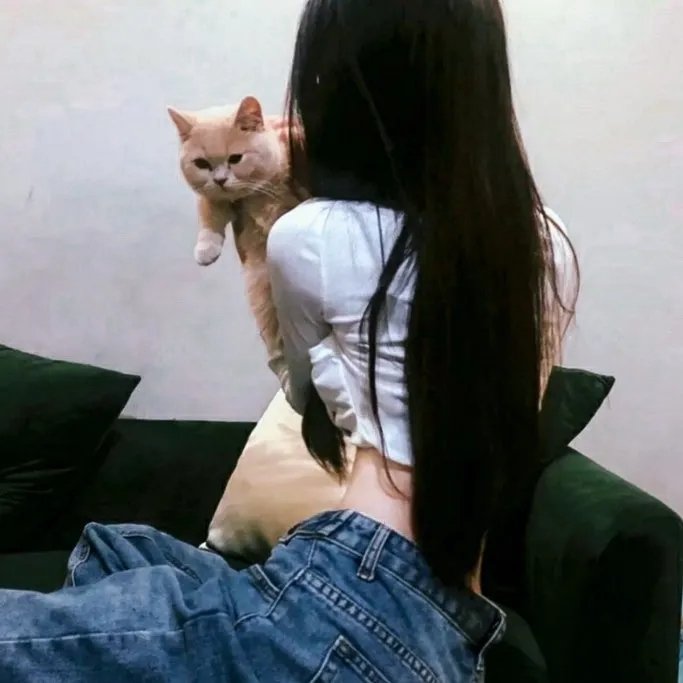 低糖