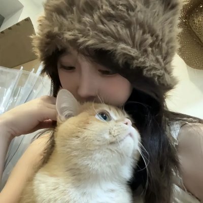 鲨与鲸